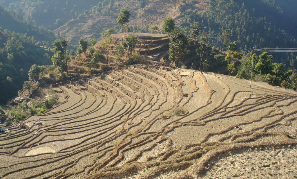 Mid Term Review For Sustainable Land Management Project