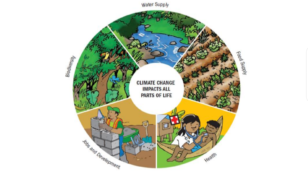 Technical Support Training Manual on Scaling Up and Scaling Out of Climate  Change Adaptation Good Practices in Nepal
